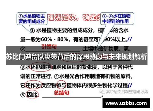 苏比门迪留队决策背后的深思熟虑与未来规划解析 苏比门迪留队决策背后的深思熟虑与未来规划解析