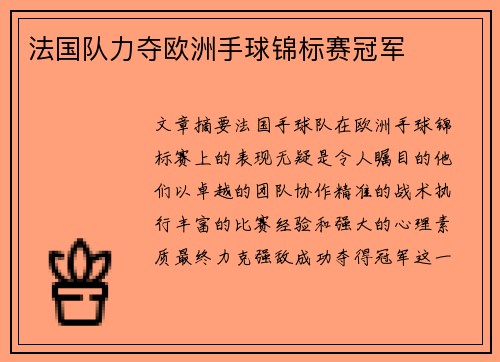 法国队力夺欧洲手球锦标赛冠军